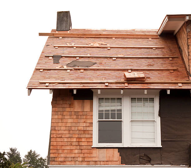 Affordable Siding Repair and Maintenance Services in Burley, ID